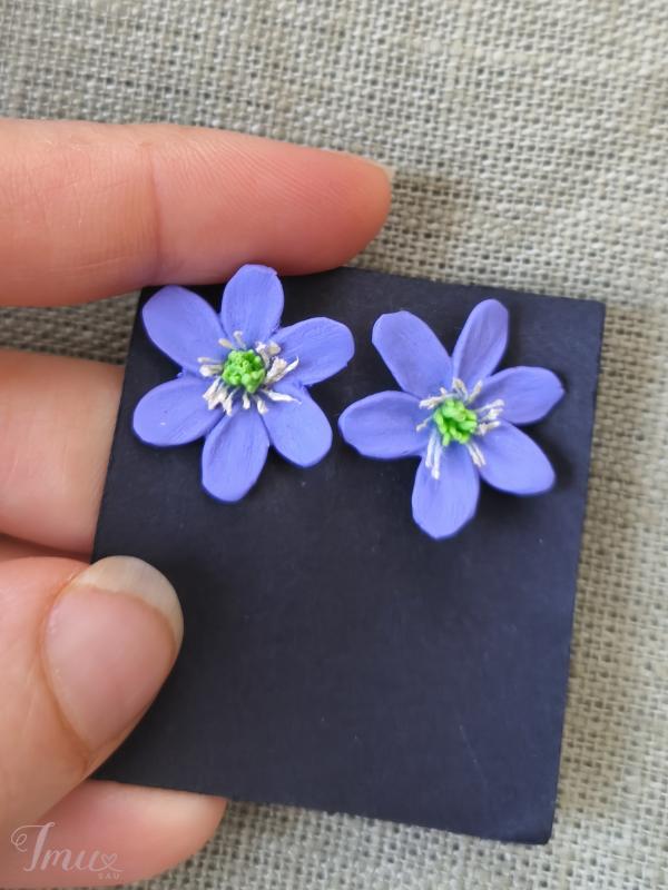 imusau.lt | parduodama Auskarai violetinės žibutės