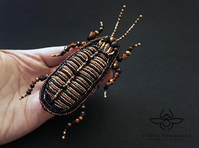 imusau.lt | parduodama Amber cockroach