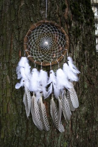 imusau.lt | parduodama Natūrali sapnų gaudyklė su fazano plunksnomis