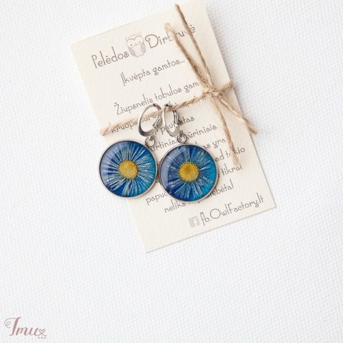 imusau.lt | parduodama Auskarai "Saulutės"