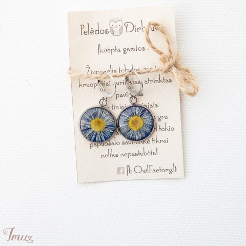 imusau.lt | parduodama Auskarai "Saulutės"