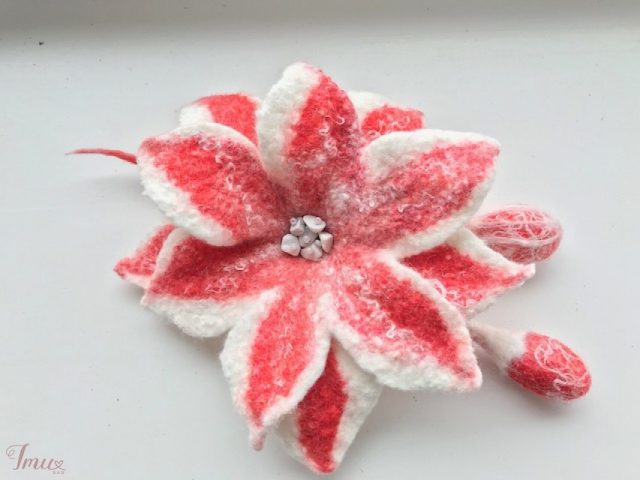 imusau.lt | parduodama Sagė - gėlė "Kalėdiška", velta