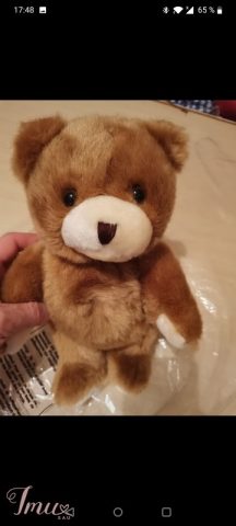 imusau.lt | parduodama Meškiukas