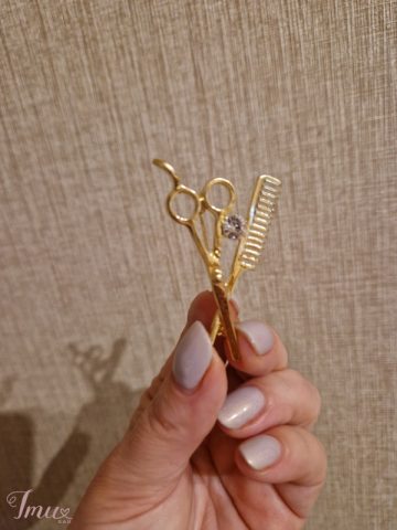 imusau.lt | parduodama Sagė