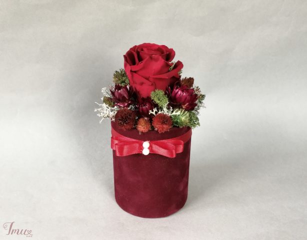 imusau.lt | parduodama Mieganti raudona rožė