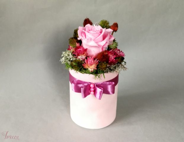 imusau.lt | parduodama Ružava mieganti rožė