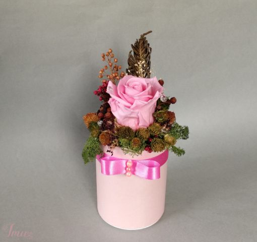 imusau.lt | parduodama Ružava mieganti rožė