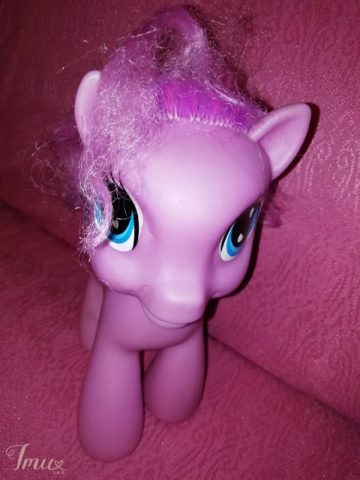 imusau.lt | parduodama Grojantis ponis