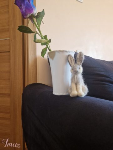 imusau.lt | parduodama Parduodamas rankų darbo žaisliukas