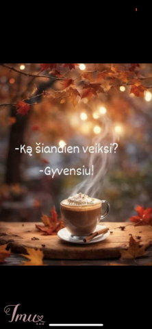 imusau.lt | parduodama Vyriška pūkinė striukė