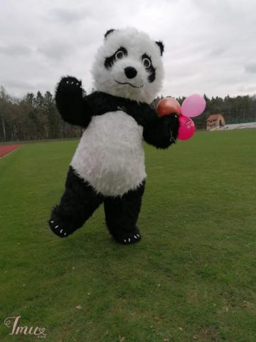 imusau.lt | parduodama Pandos kostiumas 2.6 metru