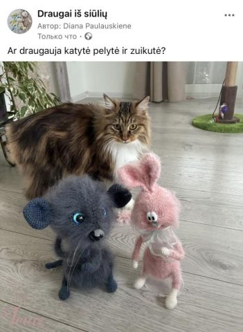 imusau.lt | parduodama Peliukas